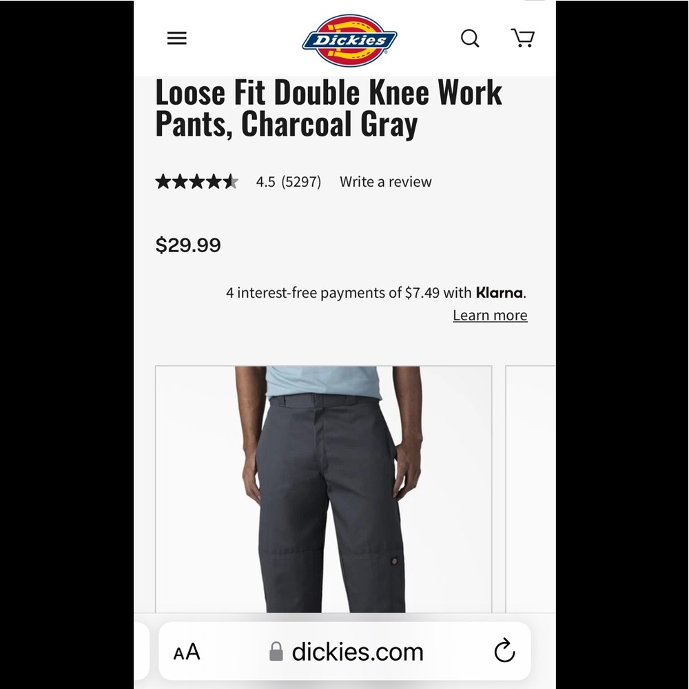 NWT, Dickies Work Pants